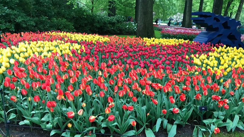 keukenhof3jpg