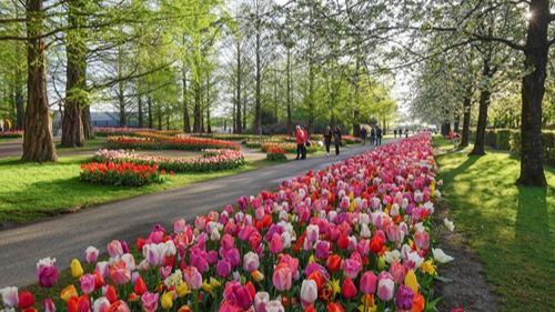 keukenhof-1jpg
