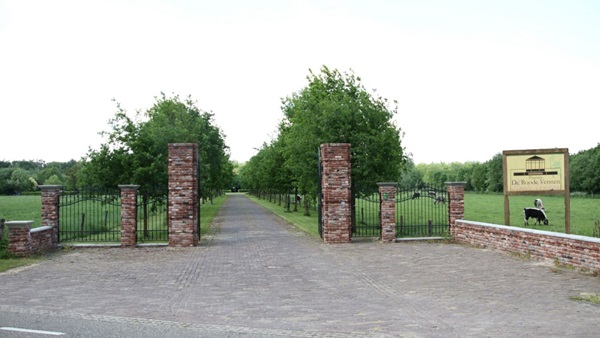 roode-vennen-01ajpg