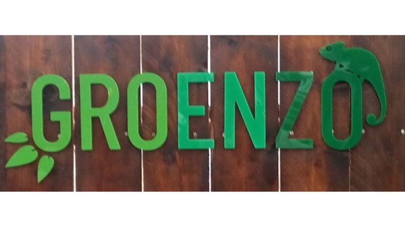 kopie-van-fragmentjpg