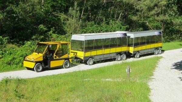 cropped-img048812-640x360jpg