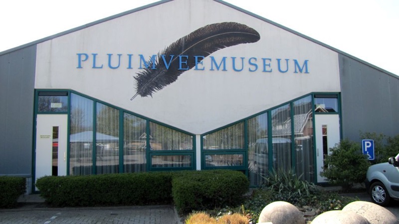 pluimveemuseum-01jpg