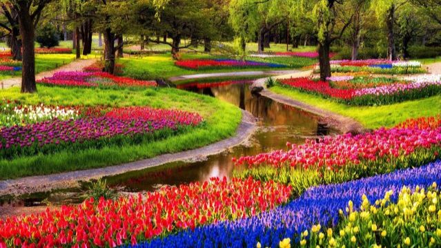 keukenhof-639x400jpg