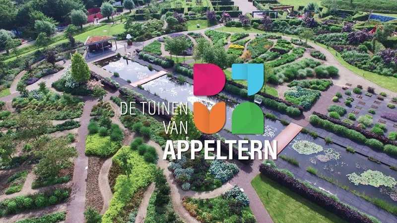 appelternjpg