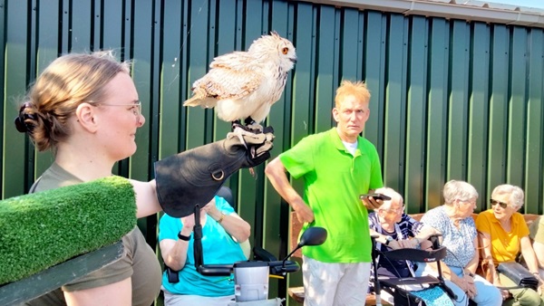 img20240909221655originaljpeg