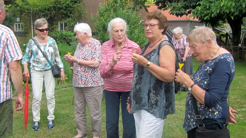 zon-bloemen-eten-theetuin-vierakkerjpg