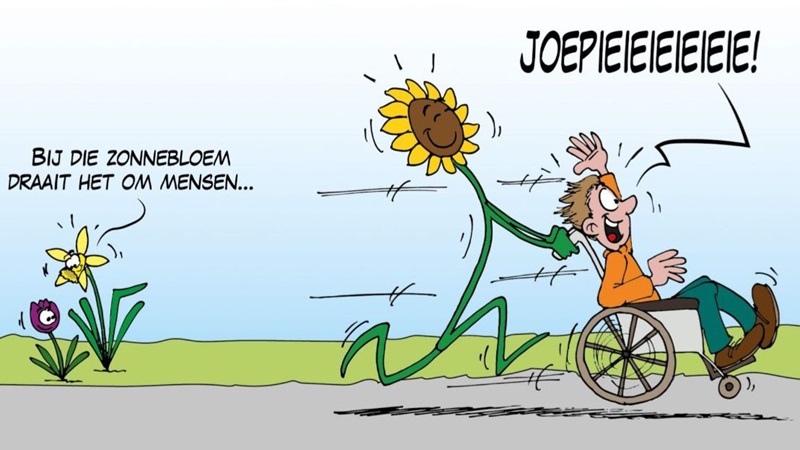 zonnebloem-deftekengebied-1-scaledjpgjpg