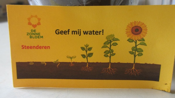 kaartje-bij-potzonnebloemenjpg