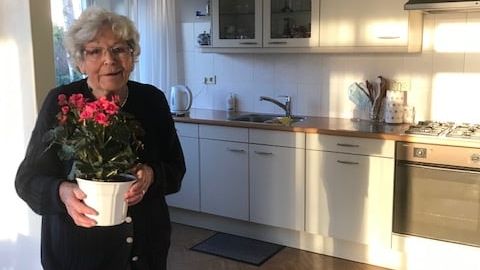 plantjpg