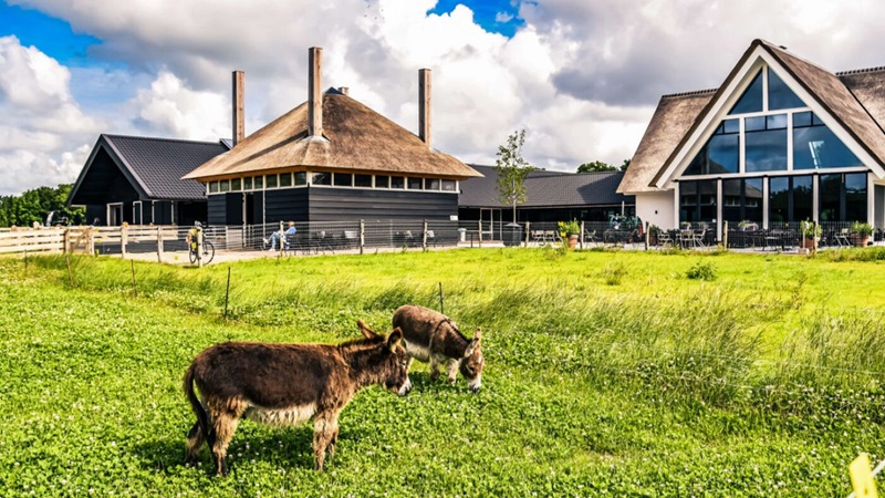 bewerkt-web-tante-tokkiebewerkt-tante-tokkiepannenkoekenrestaurantvoorschoten-104-1400x933jpg