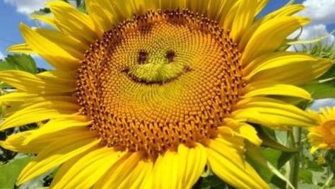 zbsmilejpgjpg