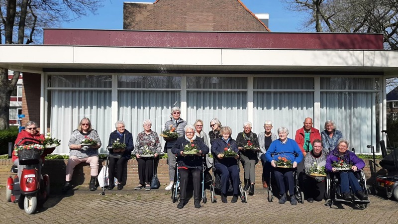 zonnebloem-bolsward-bloemschikkenjpg