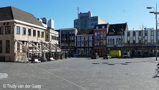 img-zonnebloem-copyrightjpg