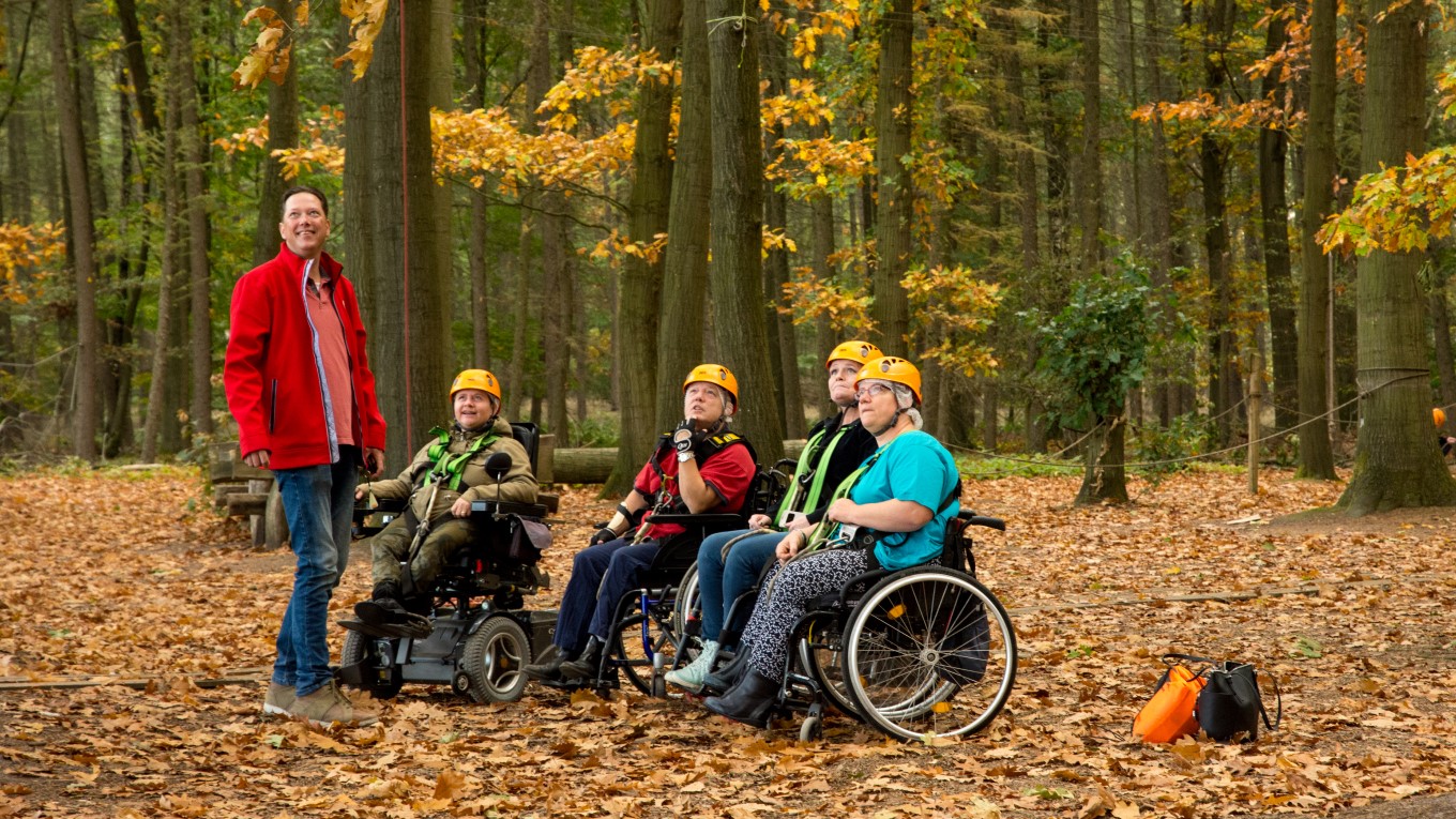 Zonnebloem Eindhoven naar het Klimbos