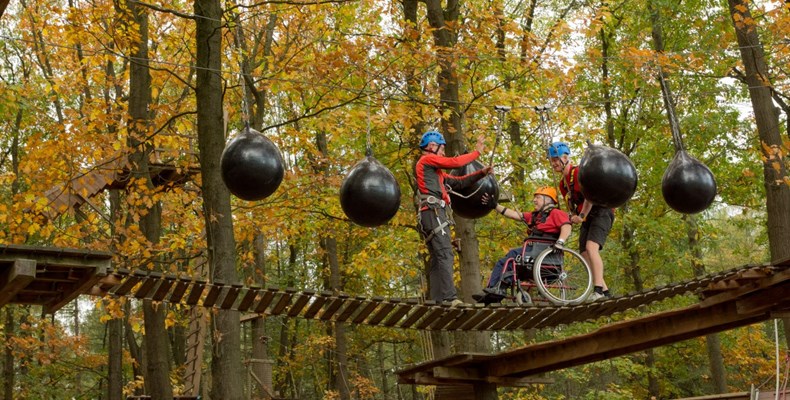 Zonnebloem Eindhoven naar het Klimbos