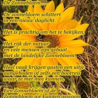 Rianne Janssens