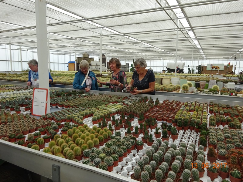 Zonnebloem afdelingsnieuws