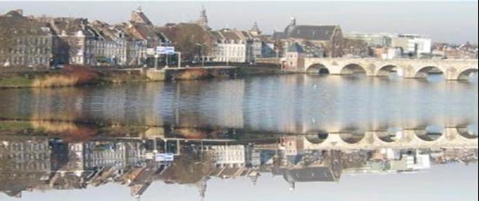 Zonnebloem afdelingswebsite