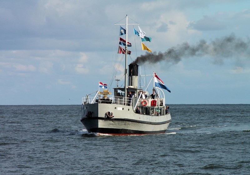 Zonnebloem afdelingsnieuws
