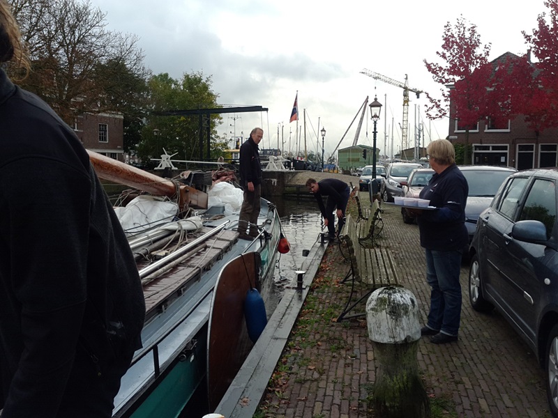 Zonnebloem afdeling