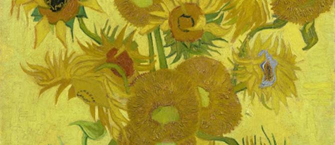 Zonnebloem afdelingswebsite