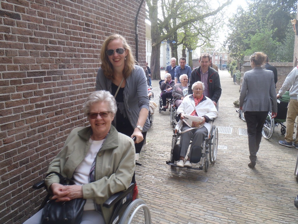 zonnebloem