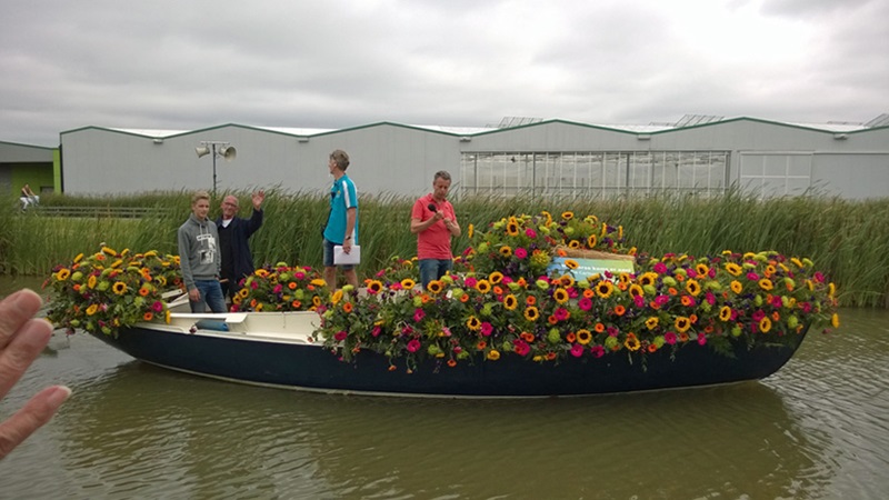 Zonnebloem afdeling
