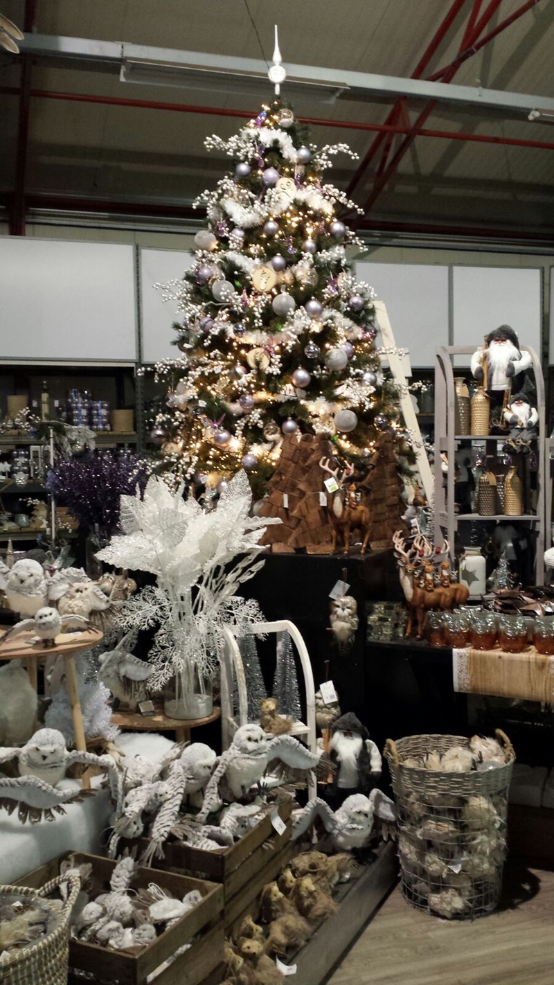 Bezoek Aan Intratuin Rhoon Kerst De Zonnebloem