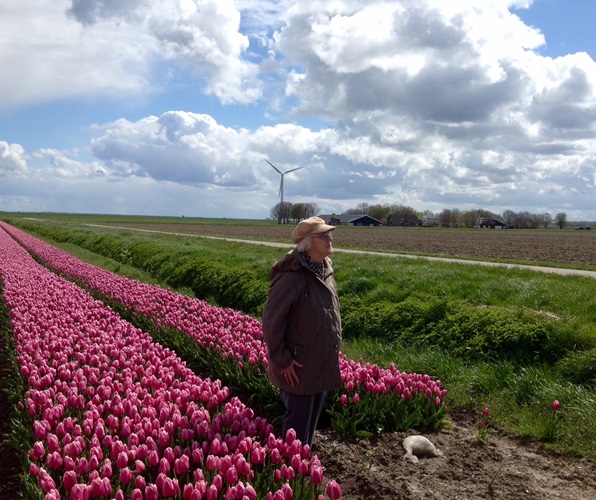 Zonnebloem afdeling