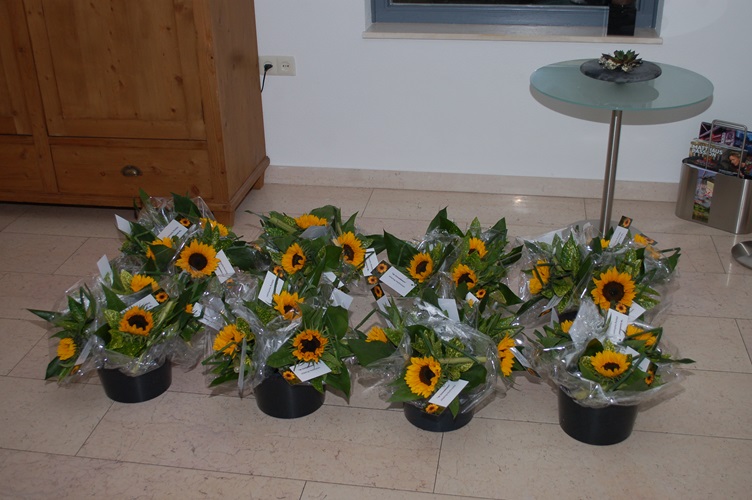 Zonnebloem afdeling