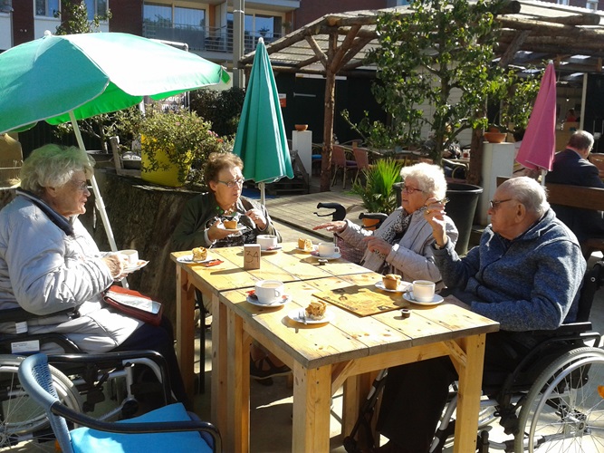 Zonnebloem afdeling