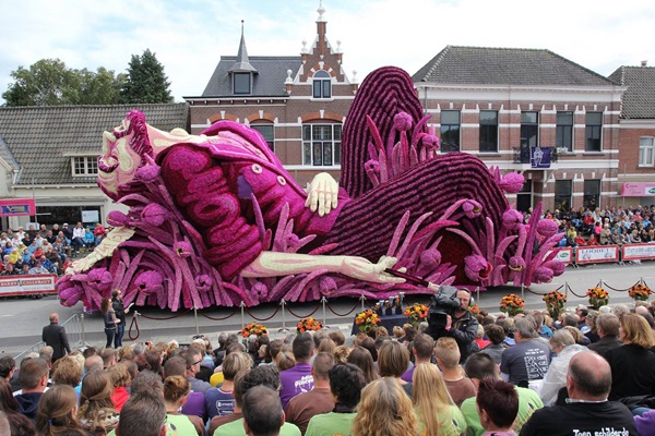 Zonnebloem afdeling