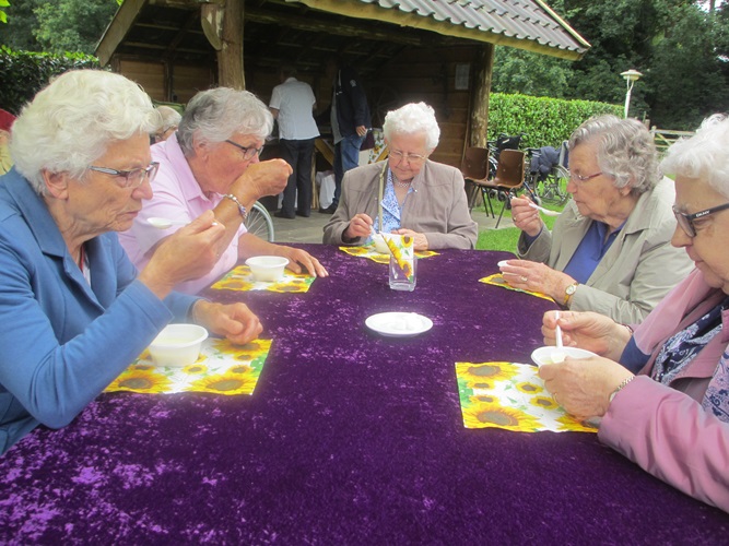 Zonnebloem afdeling