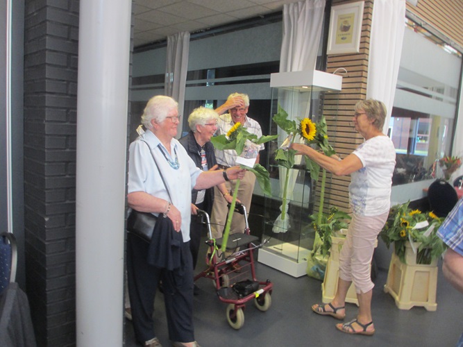 Zonnebloem afdeling