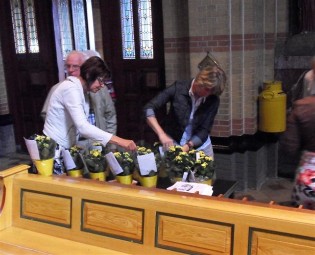 Zonnebloem afdeling