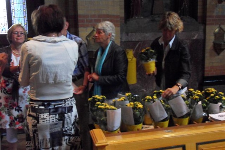 Zonnebloem afdeling