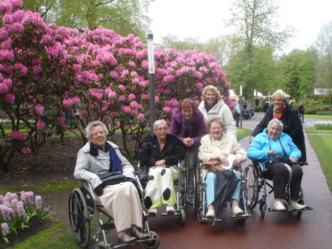 Zonnebloem afdeling