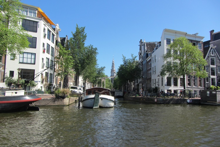Zonnebloem afdeling