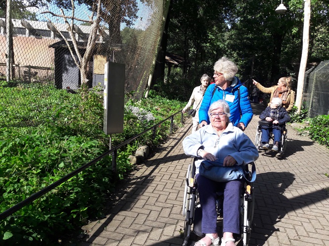 Zonnebloem afdeling