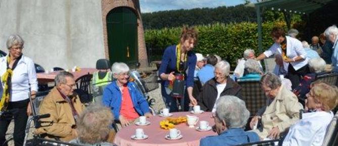 Zonnebloem afdelingswebsite
