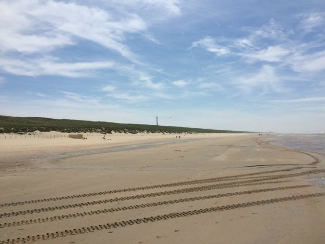 Zonnebloem afdeling