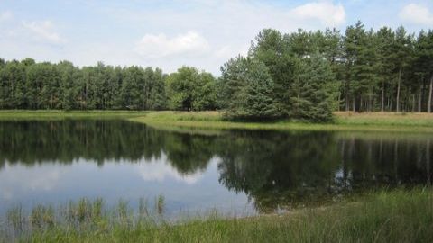 img1842jpg