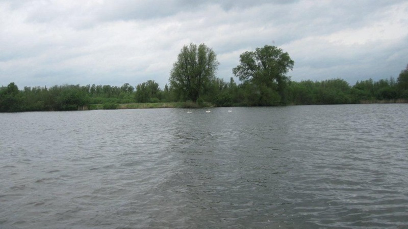 img0829jpg