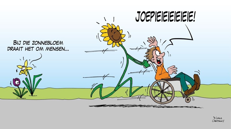 zonnebloemtekengebied-1-6jpgjpg