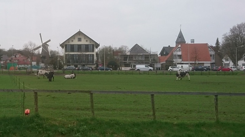 zandhaas-met-wieken-14-04-2018jpg