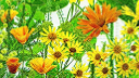 zonnebloemen-op-servettenpng