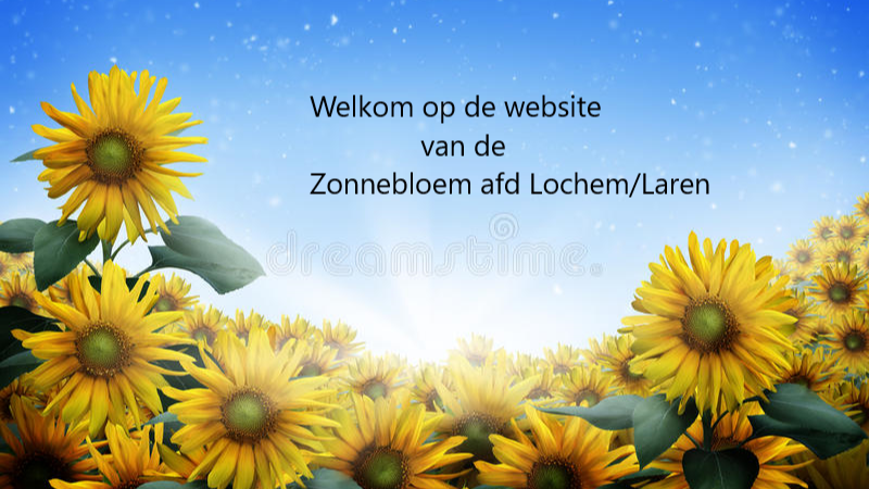zonnebloem-openingpng